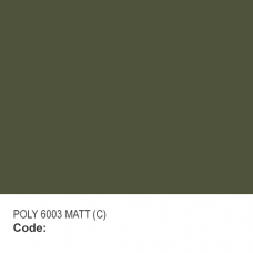 POLYESTER RAL 6003 MATT (C) POLYESTER RAL 6003 MATT (C)